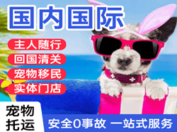 西庆机场邮寄国际宠物托运 【国
